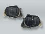 TYC Fog Lights Driving Lamps Assy with bulbs PAIR fits 1996-1999 MB E-class W210